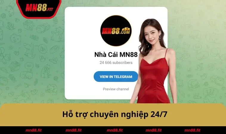 Hỗ trợ chuyên nghiệp 24/7