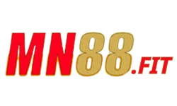 mn88.fit