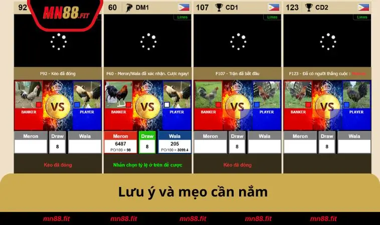 Lưu ý và mẹo cần nắm