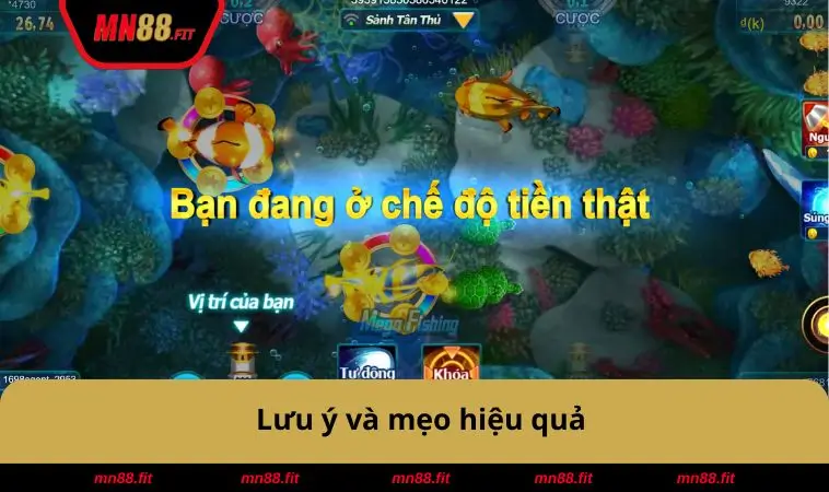 Lưu ý và mẹo hiệu quả