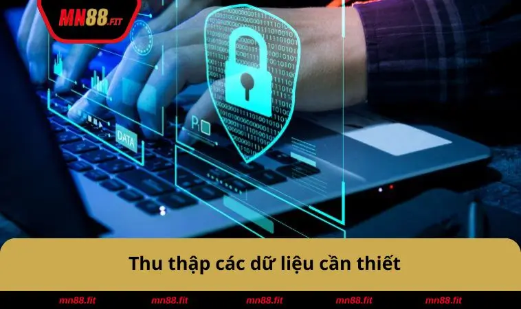 Thu thập các dữ liệu cần thiết